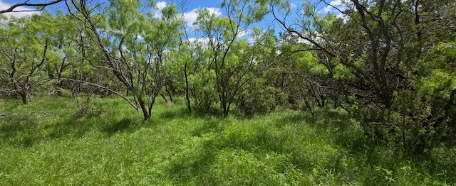 pic (3)